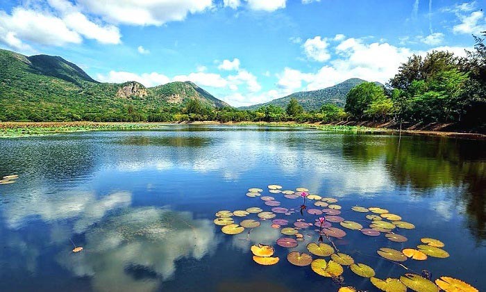 chiem-nguong-ve-dep-ho-hai-an Chiêm ngưỡng vẻ đẹp hồ Hải An